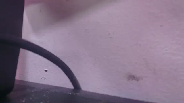 Snapshot of abbyrouss_ chatting on October 7, 2025, 2:56 am abbyrouss online show from October 7, 2025, 2:56 am