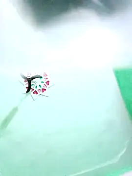 Cm pooja online show from March 16, 2026, 6:43 pm