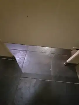 maxelbueno online show from October 2, 2025, 8:01 pm