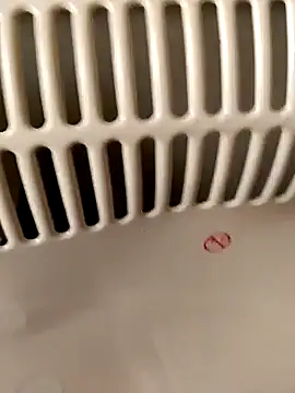 Snapshot of Czech_slut_whore-wife chatting on October 12, 2025, 11:55 am Czech slut whore-wife online show from October 12, 2025, 11:55 am