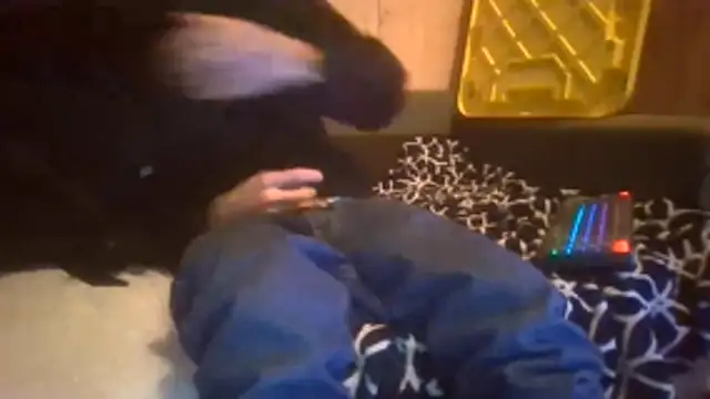 Sillycatfish online show from December 20, 2025, 9:56 am