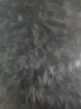 susan mooree online show from October 1, 2025, 7:18 pm