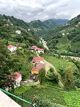 Snapshot of LAZ3R1 chatting on October 2, 2025, 10:29 am LAZ3R1 online show from October 2, 2025, 10:29 am