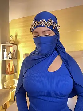 Snapshot of _hafsa_ chatting on October 3, 2025, 10:17 am  hafsa  online show from October 3, 2025, 10:17 am