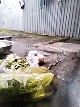 Lauraa-a online show from October 29, 2025, 2:43 am