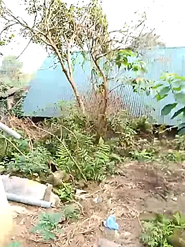 Vy xx online show from October 30, 2025, 12:31 am