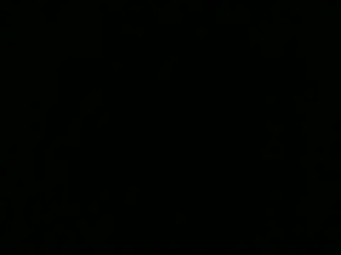 Naughtyy stripgirl online show from October 1, 2025, 1:59 pm