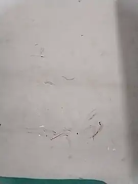 Rapunzal online show from October 13, 2025, 7:59 pm