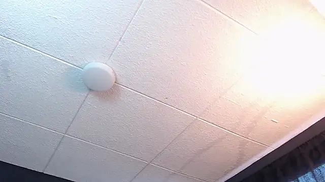 RichardMilleer online show from February 16, 2026, 1:43 pm