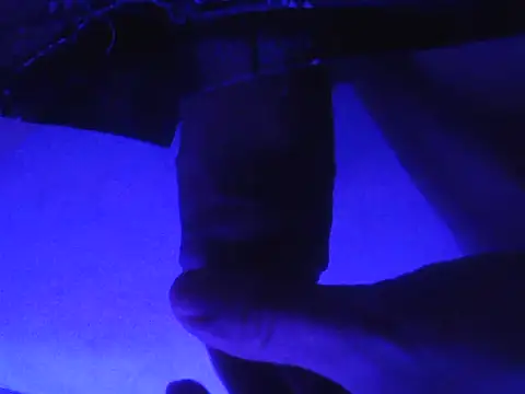 novinzs019 online show from September 13, 2025, 5:29 am