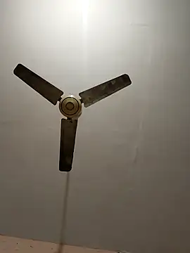 monarani5986 online show from January 31, 2026, 8:18 pm