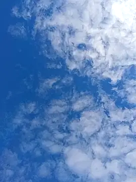 matatan0323 online show from April 13, 2026, 2:10 pm