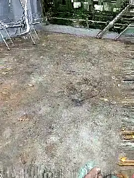 Snapshot of Aaisha-16 chatting on September 29, 2025, 2:07 am Aaisha-16 online show from September 29, 2025, 2:07 am