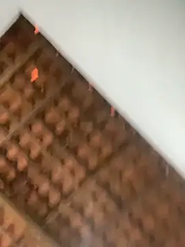 Milenvs online show from March 5, 2026, 12:24 pm