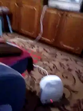 Nikusya-51 online show from December 22, 2025, 1:22 pm