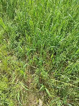 karandeep Bhagat online show from April 19, 2026, 5:08 am