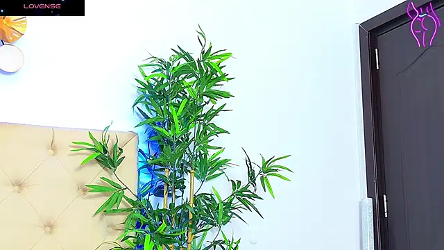 CoraVex online show from September 17, 2025, 4:25 am