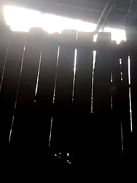 Snapshot of donna-bae chatting on October 10, 2025, 11:05 pm donna-bae online show from October 10, 2025, 11:05 pm