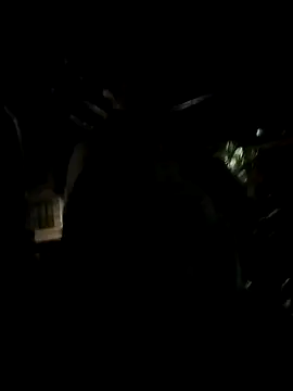 Violet and Paul online show from October 30, 2025, 3:38 am