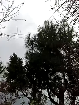 Snapshot of clara-cute chatting on October 31, 2025, 1:35 am clara-cute online show from October 31, 2025, 1:35 am