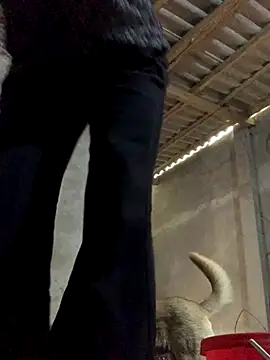 Snapshot of Halyy_xx chatting on October 30, 2025, 4:55 am Halyy xx online show from October 30, 2025, 4:55 am