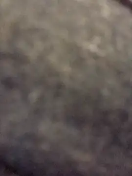 Snapshot of Suzuki_see chatting on September 23, 2025, 6:53 am Suzuki see online show from September 23, 2025, 6:53 am