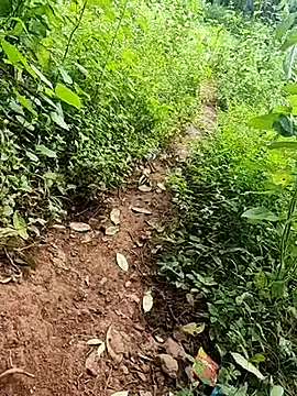 Snapshot of telugumodda4396 chatting on September 26, 2025, 6:31 am telugumodda4396 online show from September 26, 2025, 6:31 am