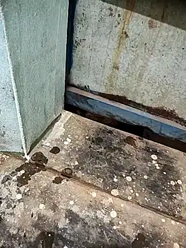 Snapshot of telugumodda4396 chatting on October 2, 2025, 11:19 pm telugumodda4396 online show from October 2, 2025, 11:19 pm