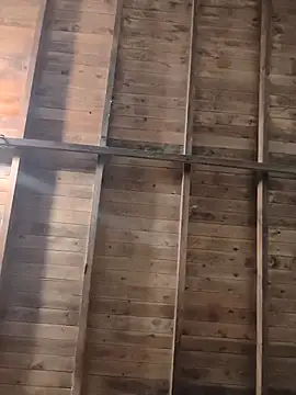 jj 846 online show from April 28, 2026, 12:42 am