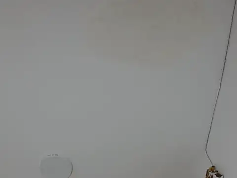 Alice pussyhairy online show from October 2, 2025, 10:40 am