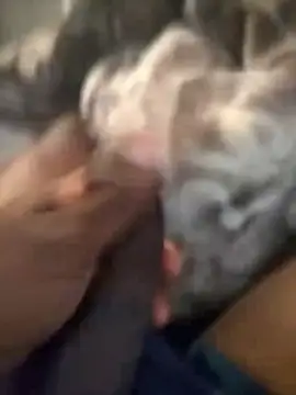 Snapshot of Blackveins32 chatting on November 4, 2025, 9:46 am Blackveins32 online show from November 4, 2025, 9:46 am