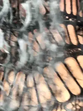 Fun size86 online show from December 20, 2025, 5:27 pm