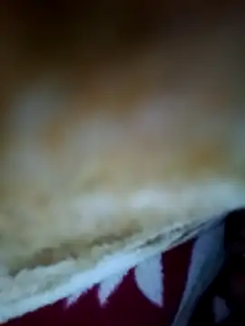 alone boy802 online show from November 6, 2025, 4:22 pm