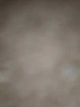 Snapshot of SALCEDO_041198 chatting on November 5, 2025, 11:35 am SALCEDO 041198 online show from November 5, 2025, 11:35 am