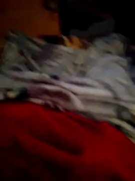 Snapshot of SALCEDO_041198 chatting on November 14, 2025, 11:47 am SALCEDO 041198 online show from November 14, 2025, 11:47 am