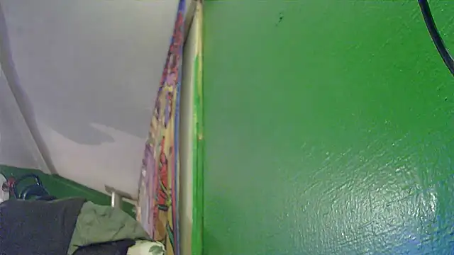 HippieDad333 online show from November 11, 2025, 3:12 am