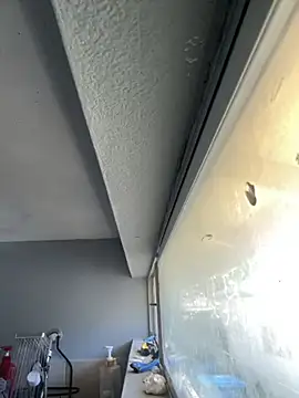 ohleafpix online show from October 24, 2025, 9:47 pm