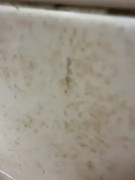 Snapshot of Bryan_1111 chatting on November 4, 2025, 12:09 pm Bryan 1111 online show from November 4, 2025, 12:09 pm