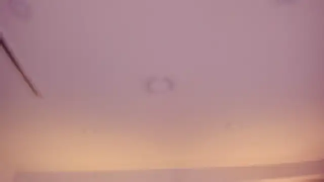 Violeta dh online show from April 4, 2026, 11:17 am