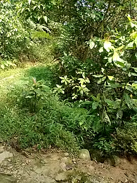 Snapshot of nhinhi-sexy chatting on October 10, 2025, 5:52 am nhinhi-sexy online show from October 10, 2025, 5:52 am