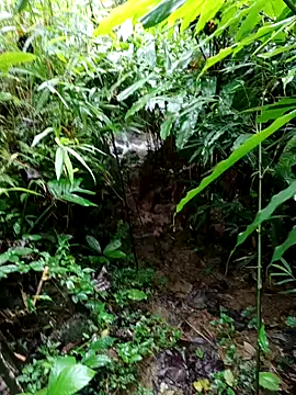 Snapshot of nhinhi-sexy chatting on October 4, 2025, 2:35 am nhinhi-sexy online show from October 4, 2025, 2:35 am