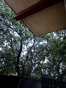 hot pleaser1   online show from October 18, 2025, 10:12 pm