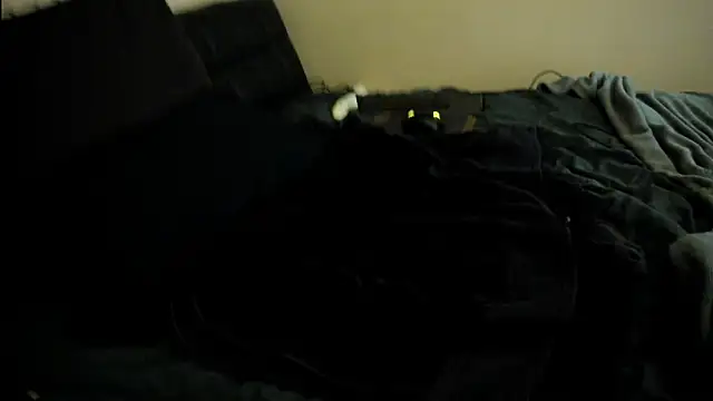 toolmaster2000 online show from January 15, 2026, 2:15 am