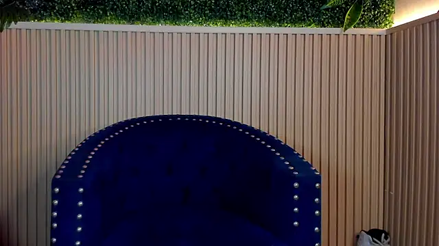 Dante Dimarco online show from October 2, 2025, 11:19 pm