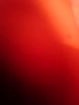 Arab-xxxx online show from October 8, 2025, 9:26 pm