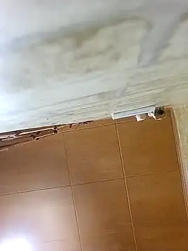 Snapshot of Apeesynka55211 chatting on October 19, 2025, 4:32 pm Apeesynka55211 online show from October 19, 2025, 4:32 pm