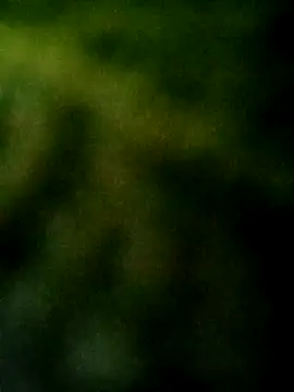 Snapshot of Apeesynka55211 chatting on October 4, 2025, 5:58 pm Apeesynka55211 online show from October 4, 2025, 5:58 pm