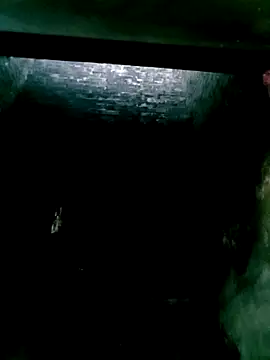 mntzz88 online show from November 14, 2025, 2:37 am