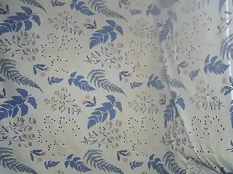 joy cute online show from October 4, 2025, 4:58 am