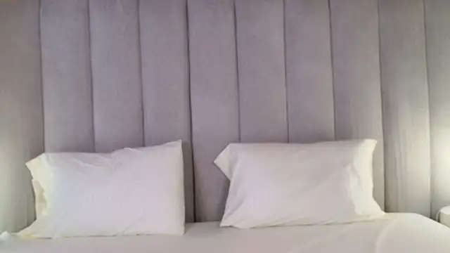 Selene Brownie online show from October 8, 2025, 1:23 pm